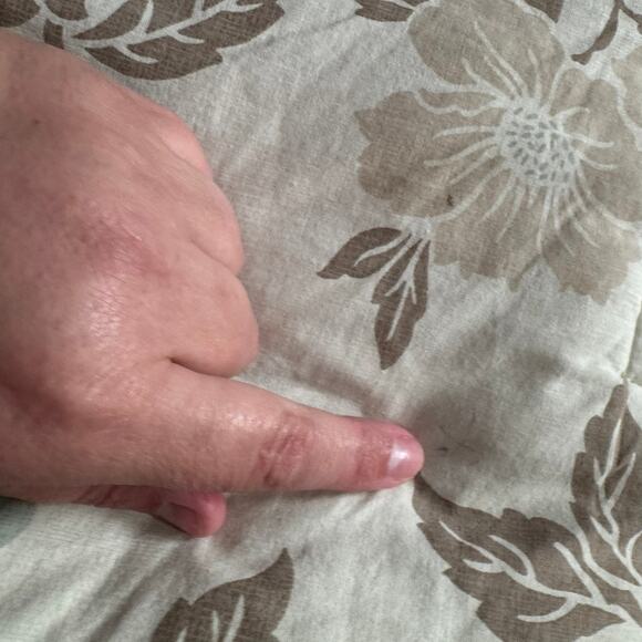 Laura Ashley Lifestyles Queen Size Muted Florals Comforter & 2 Pillow Shams - Picture 14 of 16